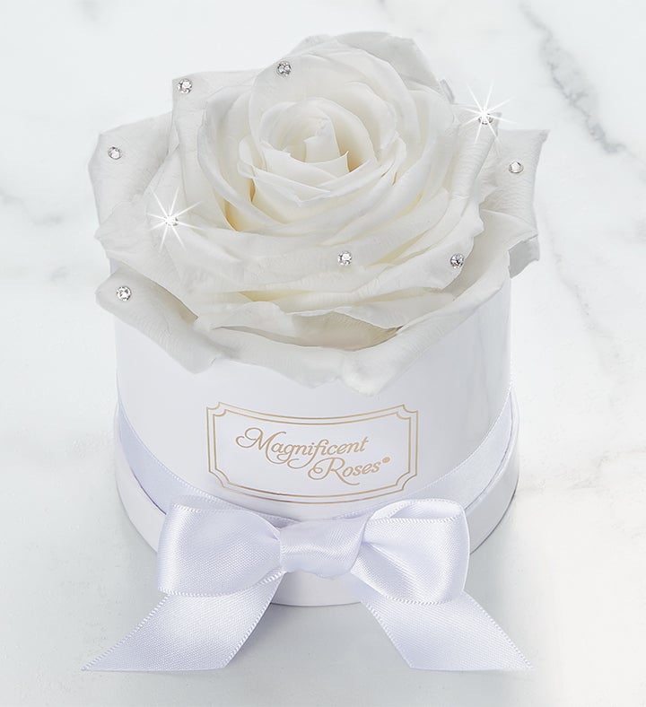 Magnificent Roses® Preserved Sparkle White Rose